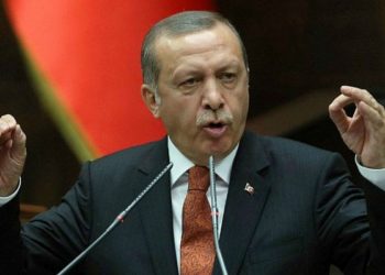 Turkey's Recep Tayyip Erdogan on July 15, 2014. Photo: AFP, Adem Altan